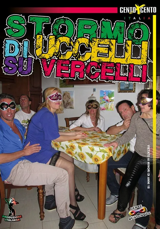 Stormo di uccelli su Vercelli