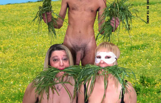 Mucche al Pascolo