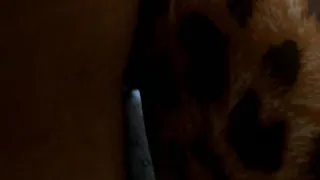 Moglie troia marito cornuto